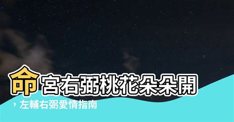 命宮右弼桃花|【命宮右弼桃花】命宮右弼桃花盛開！揭曉命中註定桃花運